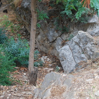 DSC_0316.jpg