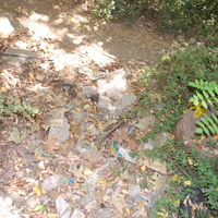 DSC_0122.jpg