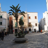 DSC_0621.jpg