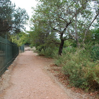 DSC_0300.jpg