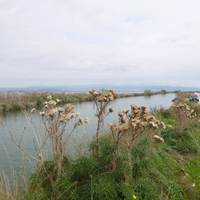 P1010788.jpg