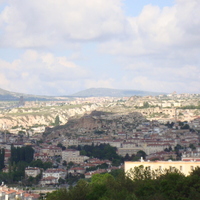 DSC02490.jpg