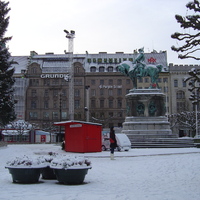 DSC08698.jpg