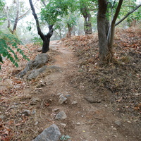 DSC_0281.jpg