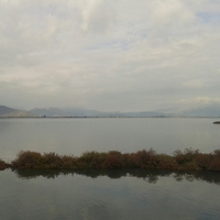 20131110_124337-1.jpg
