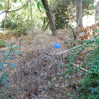 DSC_0105.jpg