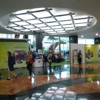 P1000634.jpg