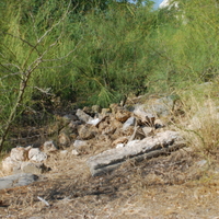 DSC_0168.jpg