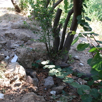 DSC_0138.jpg