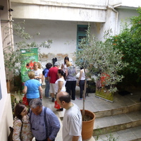 P1000218.jpg