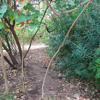 DSC_0294.jpg