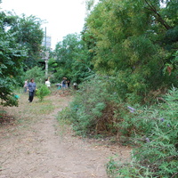DSC_0279.jpg