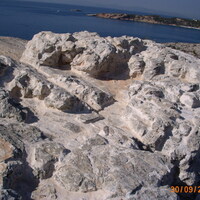 IMG_0005.jpg