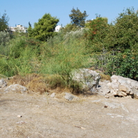 DSC_0169.jpg