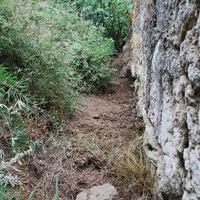 DSC_0276.jpg