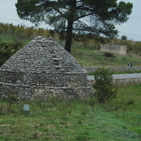 DSC_0262.jpg