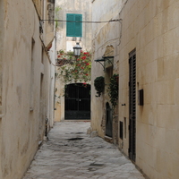 DSC_0336.jpg