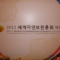 P1000511.jpg