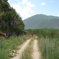 DSC08839.jpg