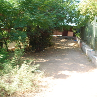 DSC_0133.jpg