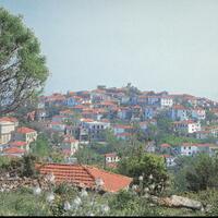 image_4.jpg
