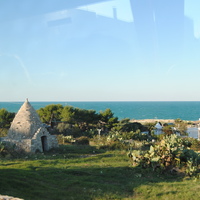 DSC_0645.jpg