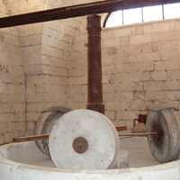 DSC02140.jpg