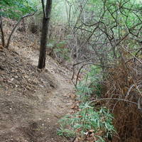 DSC_0280.jpg