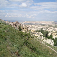 DSC02509.jpg