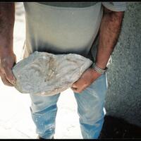 page_70.jpg