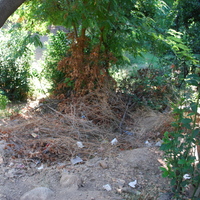 DSC_0139.jpg