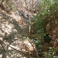 DSC_0092.jpg