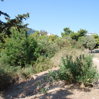 DSC_0191.jpg