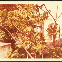 page_3.jpg