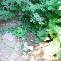DSC_0149.jpg
