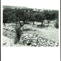 page_05.jpg