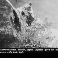 PICT0112.jpg