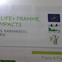 2012-09-07 08.30.51.jpg