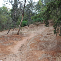 DSC_0317.jpg