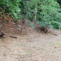 DSC_0283.jpg