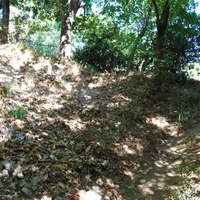 DSC_0112.jpg