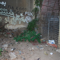 DSC_0153.jpg