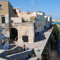 DSC_0501.jpg