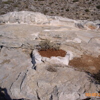 IMG_0018.jpg