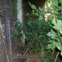 DSC_0162.jpg