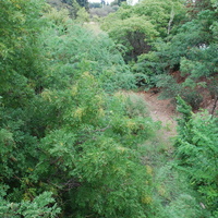 DSC_0314.jpg
