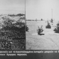 PICT0155.jpg