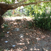DSC_0180.jpg