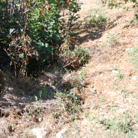 DSC_0174.jpg