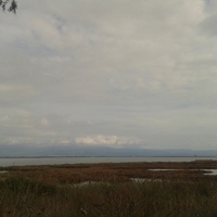 20131110_131201.jpg
